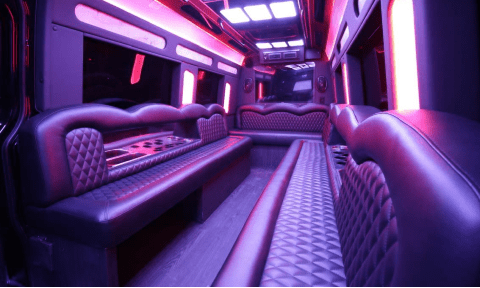 Sunnyvale 14 Passenger Sprinter Bus Interior