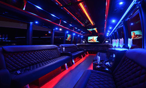 Fremont 30 Passenger Party Bus Black Interior